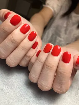 ワンカラーモデル/オフあり