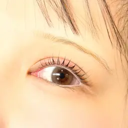 🌷パリジェンヌラッシュリフト🌷アイシャンプー＋トリートメント付き🫧
