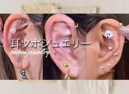 耳つぼジュエリー💎💕両耳20粒