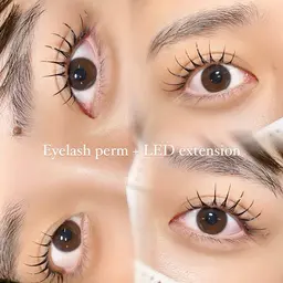 【ミニモ限定価格✨】パリエク60本🎀コーティング仕上げ🪄オフ+500円