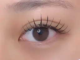 【🎀1日2名様限定🎀】マツエク　フラットラッシュ120本 ➕美容液コーティング仕上げ🪽🌙