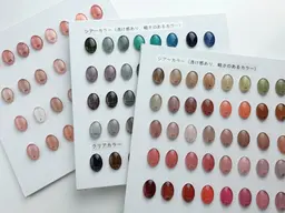 ワンカラー【自店・他店オフ無料】