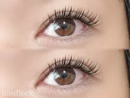 11月限定募集★バインドロック80束¥3,000