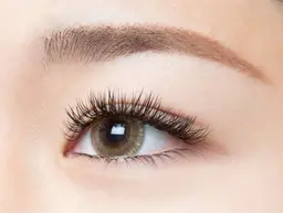 10/29フラットプラス両面60setモデルさん募集👀🎀
