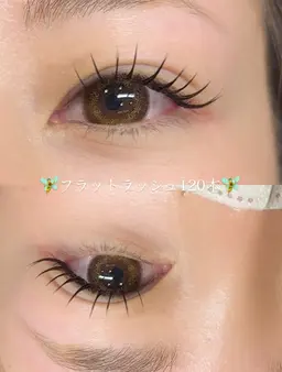 フラットラッシュ120本【オフなし】🩷