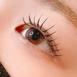 【オフなし】ナチュラルだけどマスカラのような濃さを出したい方に⭐️フラットラッシュ✨100本