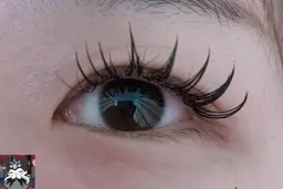 【オフなし】フラットマットラッシュ90本