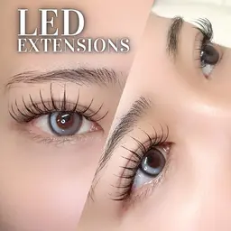 LED導入モデル【先着2名様限定】LEDフラット80本/オフ込