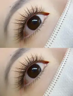 太陽花系マツエク120本フラットラッシュ