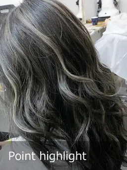 ポイントハイライト（レディース） ¥6,480（150分）