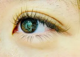 ブラウンエクステ!120束(240本)❣️6000円