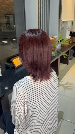 ワンカラー/暖色カラー/寒色カラー/艶カラー/透明感カラー