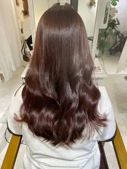 【12月限定価格🎀】カット➕オーガニックカラー➕Aujua 4stepトリートメント💞