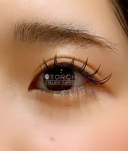 ダブルフラット60束(120本)