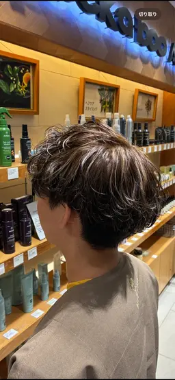 メンズハイライト モデル