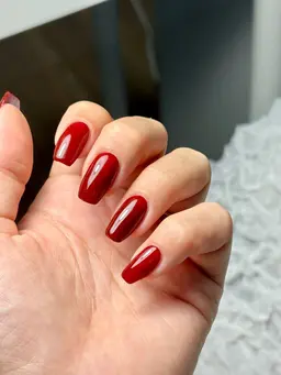ワンカラー💗オフなし