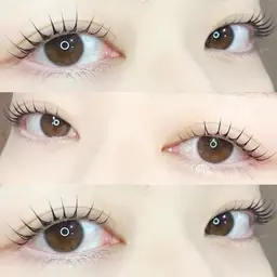 《韓国発🇰🇷》マスカラパーマ風パリジェンヌ×黒染めテイント仕上げ 🇰🇷(ơᴗơ。)