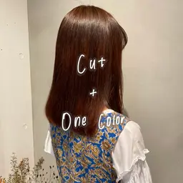 🌿カット+ワンカラー+1stepトリートメント🌿