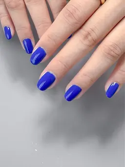 【5名様限定】ワンカラー（オフなし）