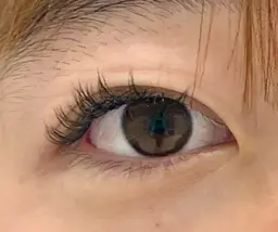 🌻まつげエクステ🌻ダブルフラット100束