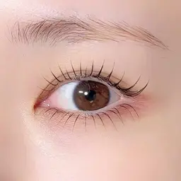 《12/6》下まつ毛パーマ無料モデル募集♡上下パーマに変更も🉑