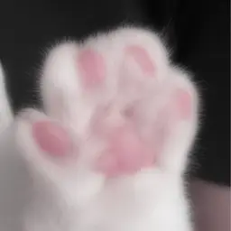 🎀2回目以降再来の方🎀【ブリーチなし】ワンカラー