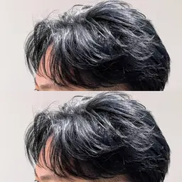 白髪染め(黒)のみ