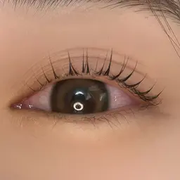 【口コミ割】ラッシュリフト💝ぱっちり根元立上げ✨