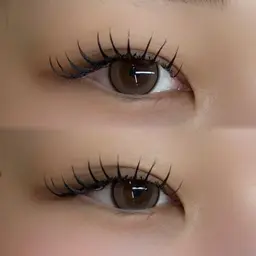 🌺バインドロック🌺100束まで付け放題