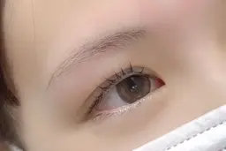 11月19日限定✨【まつげパーマ+アイブロウ】コーティング込¥6000