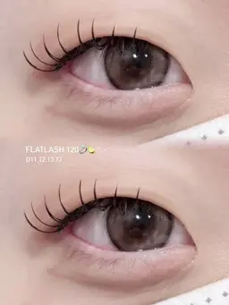 [新規] オフ込み フラットラッシュ120本