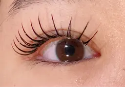 🧡カシミア🧡100本上付け放題オフ＆コーティング付き