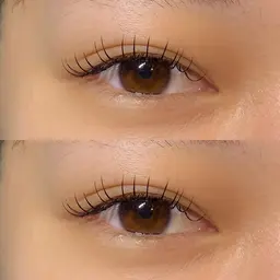 フラットラッシュ80~100本 🌟