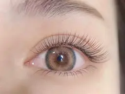 フラットエクステ120本¥5900/LEDフラット120本¥6800