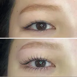 💫🌲眉毛WAX＆上下まつ毛パーマorパリジェンヌ🎄💫12/3.4.5.8.9.日