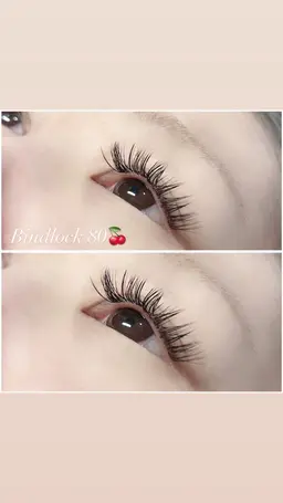 🤍バインドロック 60〜80束🤍