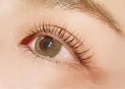 まつ毛パーマ                       (アイシャンプー、前処理、コーティング剤付き)