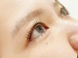 🌸上下まつ毛パーマ🌸人気のメーテルロットもございます