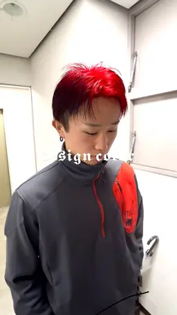 🌹🕷🕸デザインカラー🕷🕸🌹