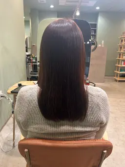 カットモデル