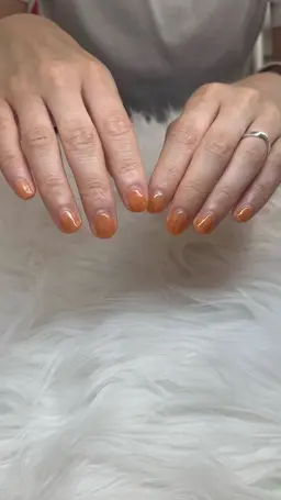 🦋ワンカラー〈オフあり〉🦋