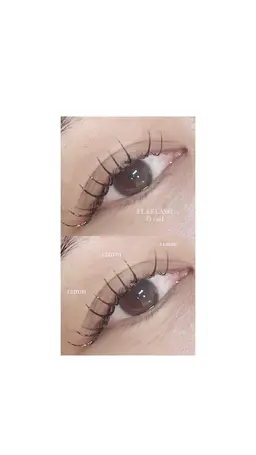 フラットラッシュ80​〜​100本　2200円