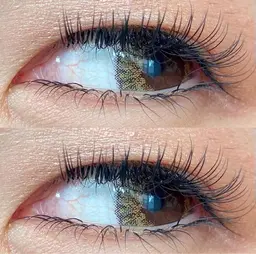 【平日限定】フラットラッシュ付け放題¥6980(オフなし)