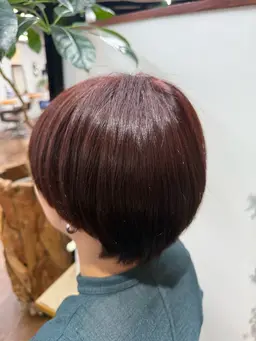 ワンカラー