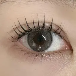 【魅せるなら】🤍パリジェンヌラッシュリフト︎🤍