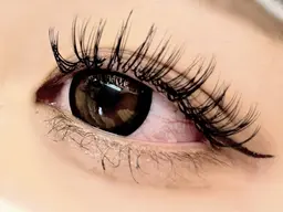 ◆11月限定◆Wフラットラッシュ80束(160本)オフ込み¥5,800