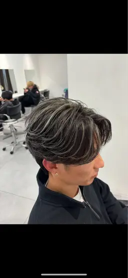 メッシュ