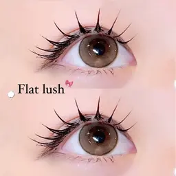 【コーティング剤プレゼント🎁🌟】フラットラッシュ100本orバインドロック60束➕コーティング剤♡