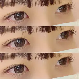 【13日限定】ラッシュリフト 上下 🌿🫧コーティング付き🤍