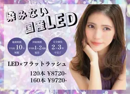 【3回目迄同価格】 LED★選べる抗菌毛質 通常オフ込み120本コース💐¥7070＋毛質代